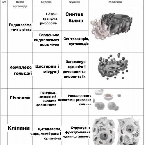 с домашним заданием (хотя бы название)