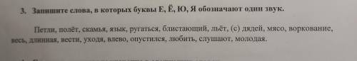 3. Запишите слова, в которых буквы Е, Ё, Ю, Я обозначают один звук. Петли, полёт, скамья, язык, руга