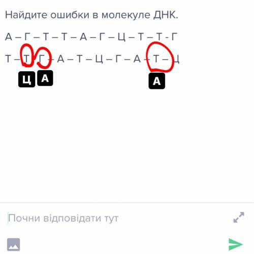 Найдите ошибки в молекуле ДНК. А – Г – Т – Т – А – Г – Ц – Т – Т - ГТ – Т - Г – А – Т – Ц – Г – А –