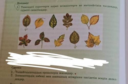 Заявка: 1. Посмотрите на картинки ниже и проанализируйте, чего не хватает растениям. опишите картину