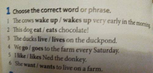 3 Make questions from the sentences in exercise 1. Do the cows wake up very early in the morning? 2.