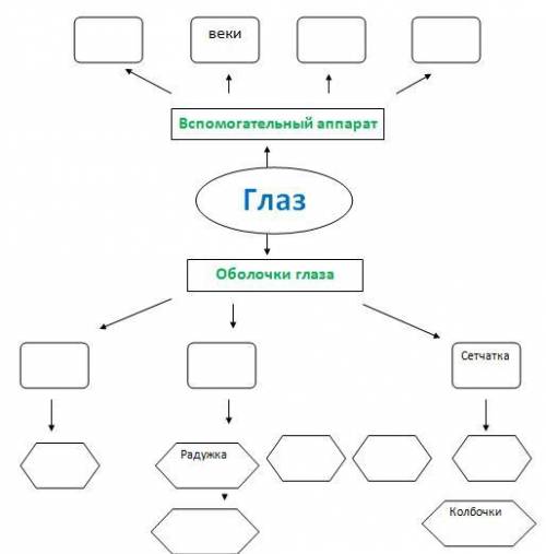 Заполните таблицу, за быстрый ответ!