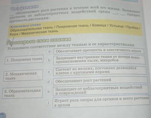 сделать что узнали и проверьте свои знания