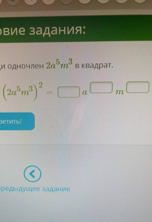 Возведи одночлен 2a5m3 в Квадрат.