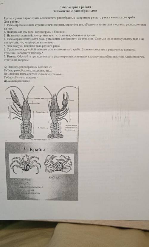 , только правильные ответы и не кратко ,