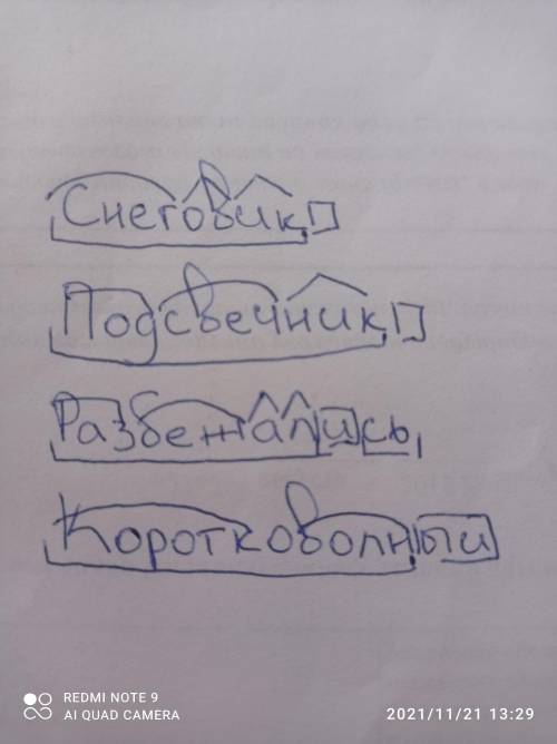 Сделайте морфемный разбор слов: СНЕГОВИК, ПОДСВЕЧНИК, РАЗБЕЖАЛИСЬ, КОРОТКОВОЛНОВЫЙ