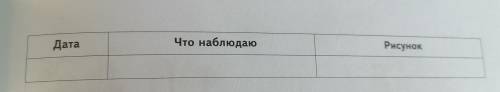 Несколько семян любого растения положи во влажную тряпочку или марлю проведи наблюдение.цель наблюде