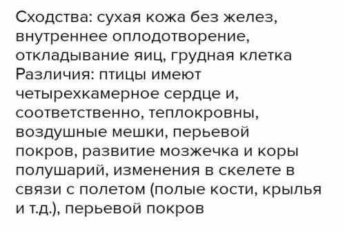 Какие черты строения и жизнедеятельности птиц объединяют их с рептилиями