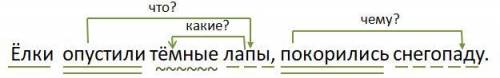 Синтаксический разбор ёлки опустили тёмный лапы, покорились снегоподу напишите (повеств,) МОЛ