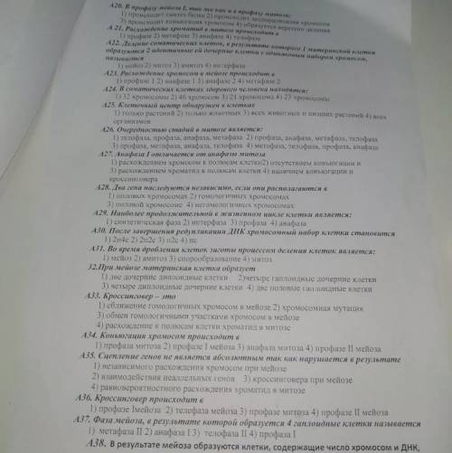 37. В результате мейоза образуются клетки, содержащие число хромосом и днк соответствующее формуле 1