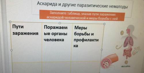 Заполнить таблицу по теме Аскарида