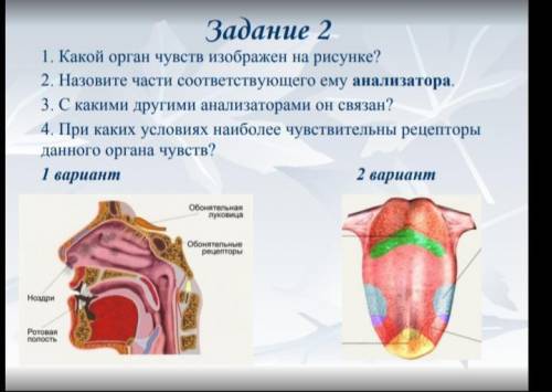 с 1 вариантом. Я уже 3 раз высылаю за сегодня ( Делайте, то что знайте