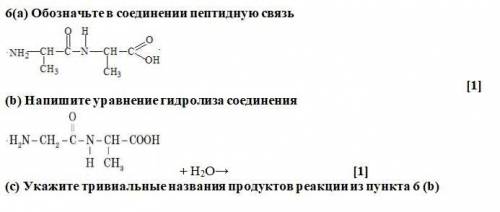 (а) Обозначьте в соединении пептидную связь (b) Напишите уравнение гидролиза соединения (с) Укажите