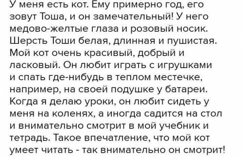 напишите 5-7 предложений о любимом животном ( в моём случае это кошка), используя причастия в своей