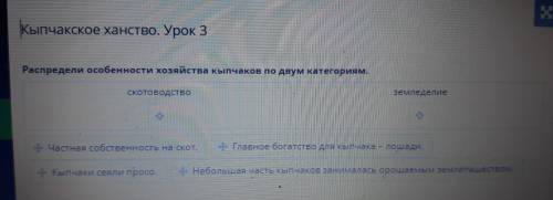 Распредели особенности хозяйства кыпчаков по двум категориям. скотоводство и земледелие мне с истор