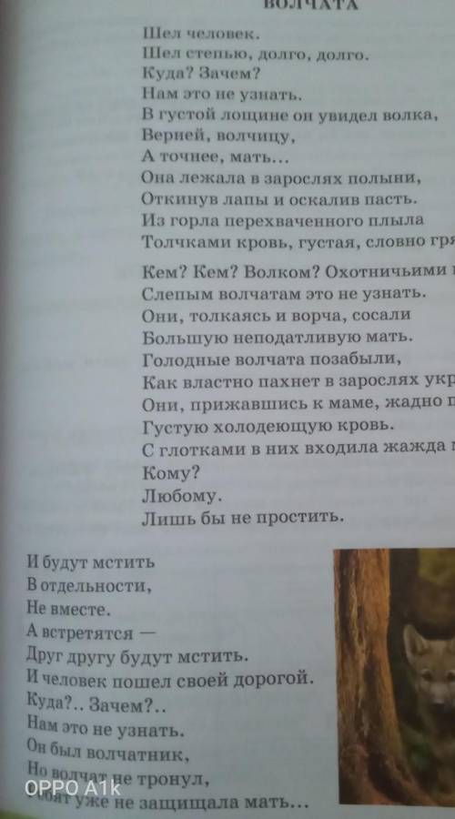 Сколько предлогов в стихотворении волчата