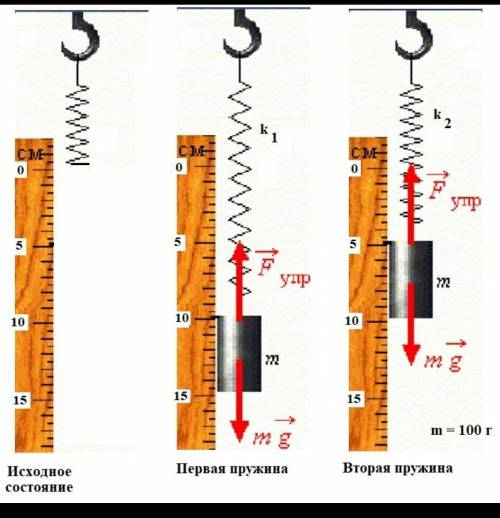 Найдите жесткость пружин k1 и k2