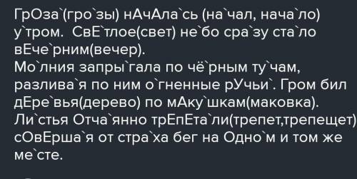 поставь знак ударения в словах буквы каторые обозначают гласные в корне слова. Гроза началась утром.