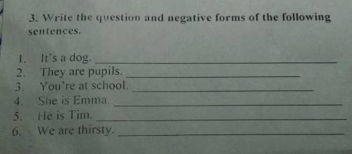 Write the question and negative forms of the following sentences. 1. It's a dog. 2. They are pupils.