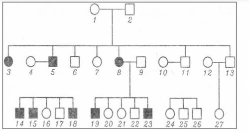У родоводі одного роду чорні кружки і квадратики символізують носіїв деякої («темної») ознаки у жіно