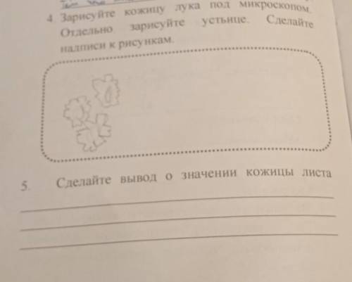 5.Сделай вывод о значении конец листаНАПИШИТЕ ПОДРОБНО И ПРАВИЛЬНО