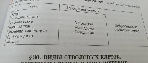 Укажите стрелками последовательность образования тканей из эмбриональных стволовых клеток