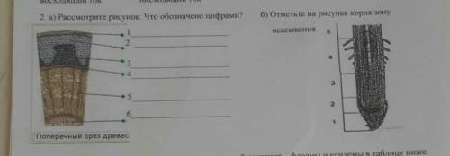 ПОЖАДУЙСТА СДЕЛАТЬ 2 ЗАДАНИЯ