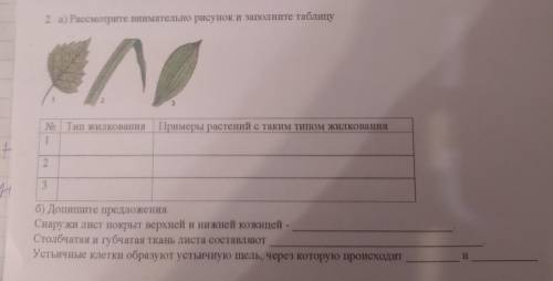 Рассмотрите внимательно ресунок и заполните таблицу СТАВЛЮ КТО СДЕЛАЕТ ПРАВИЛЬНО