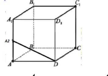 Дан куб ABCDA1B1C1D1. Точка A2 - середина ребра AA1. Постройте точку пересечения прямой A2D с плоско