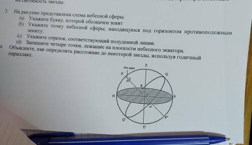 3. На рисунке представлена схема небесной сферы. а) Укажите букву, которой обозначен зенит b) Укажит