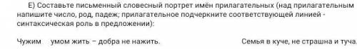 E) Составьте письменный словесный портрет имён прилагательных (над прилагательным напишите число, ро