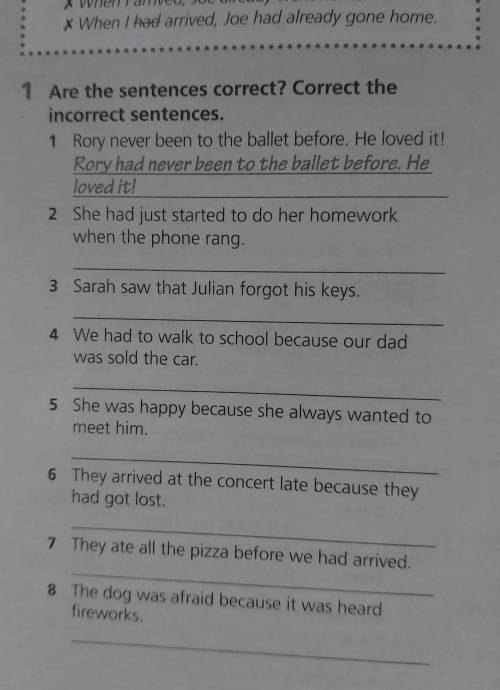 Are the sentences correct? Correct the incorrect sentences.