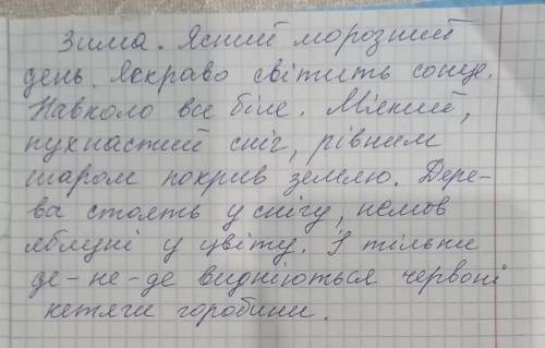 3. Прочитай текст, визнач межі речень. Зима ясний морозний день яскраво світить сонце навколо все бі