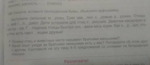 Какой опыт ухода за братьями меньшими есть у вас? Поговорите об этом друг с другом. Составьте на эту