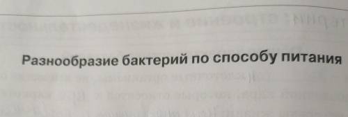 Разнобразие бактерий по питания