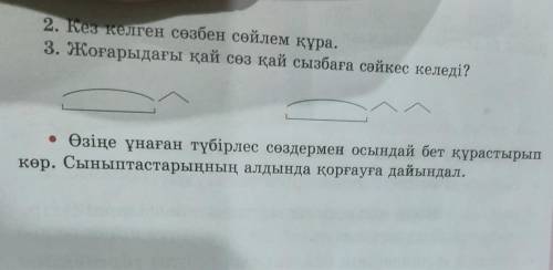 2. Кез келген сөзбен сөйлем құра. 3. Жоғарыдағы қай сөз қай сызбаға сәйкес келеді? • Өзіңе ұнаған тү