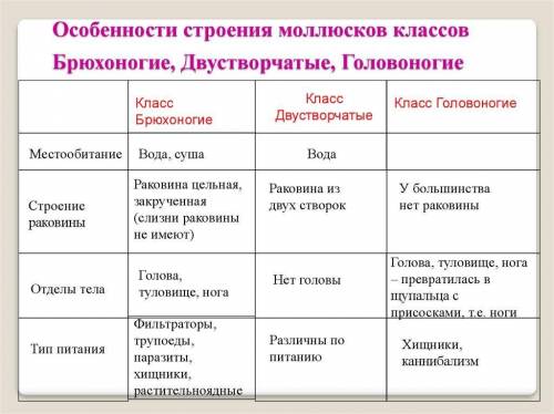 Заполнить таблицуОсобенности внутреннего строения моллюсков система/характеристика