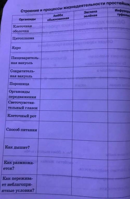 . В верхнем углу написано инфузория-туфелька. (Кому не понятно).