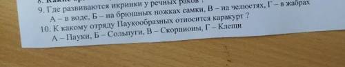 10. К какому ограду Паукообразных относится каракурт? А-Пауки. Б - Сольпути. В - Скорпионы. Г-Клепи