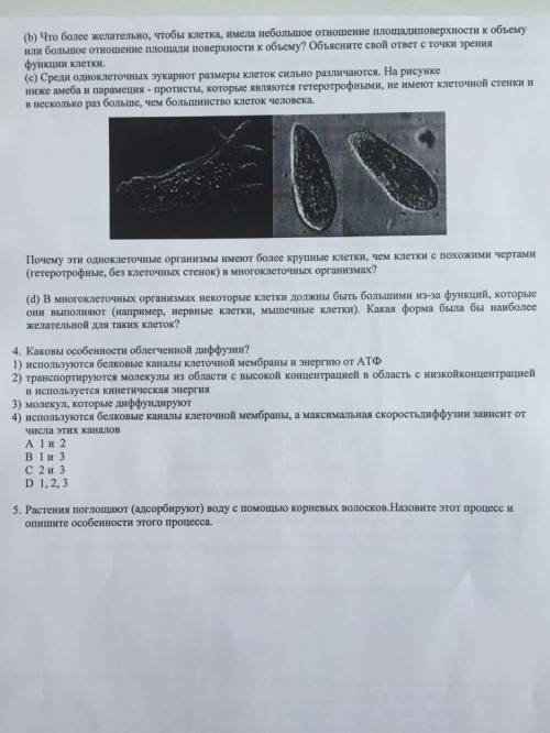 Ставлю макс Нужен 4 (Как я понял надо выбрать особенности которые относятся к диффузии)