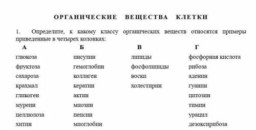 Определите, к какому классу органических веществ относятся примеры приведенные в четырех колонках