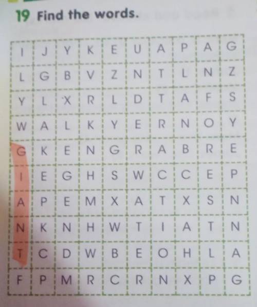 19. Find the words. Надо найти слова