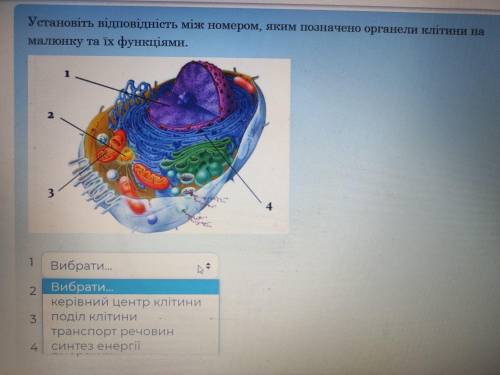 Доберіть відповідь до кожної цифри!