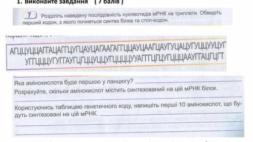 Перевод: 7)Разделите последовательность нуклеотидов мРНК на триплеты. Обведитепервый кодон, с которо