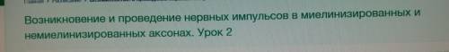 Кто сделал этот урок дайте онлайн мектеп 9 класс