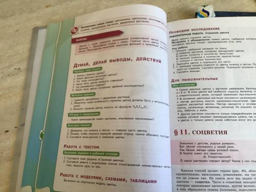 С тр. 46 вопросы выполни задания №2, обсуди с товарищем №1, выскажи мнение №3