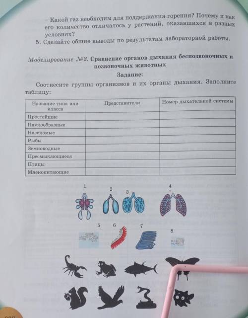 Моделирование N 2. Сравнение органов дыхания беспозвоночных и позвоночных животных.