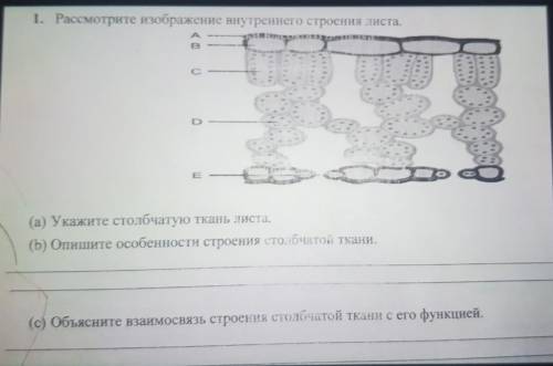 биология второй сор седьмой класс