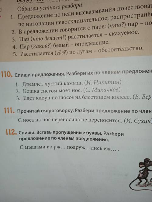 Спиши предложения.Разбери их по членам предложения упражнение 110.