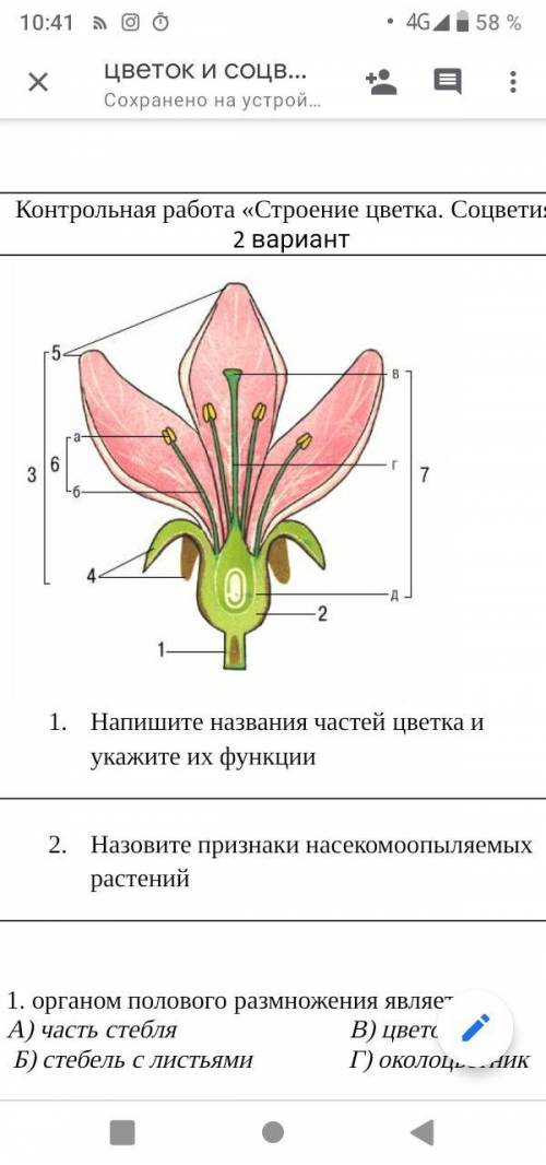 Помните с кантрольной по биологии 6 класс